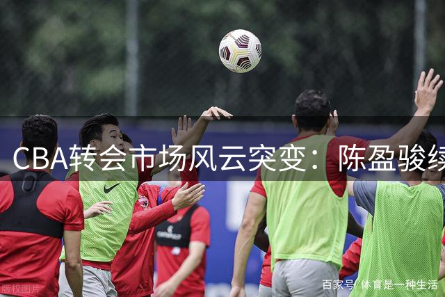 CBA转会市场风云突变：陈盈骏续约悬而未决，胡金秋成抢手货